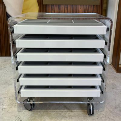 Cassettiera Plex A 6 Cassetti Su Ruote 03